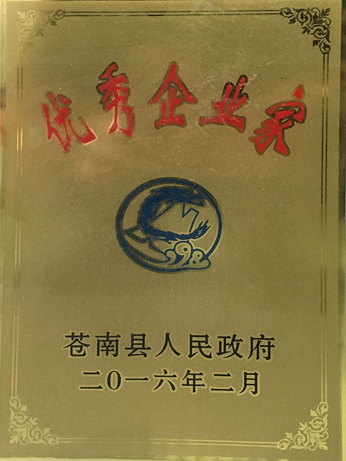 Excellent entrepreneur