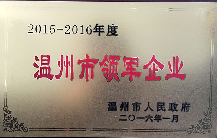 2015-2016 Wenzhou Leading Enterprise